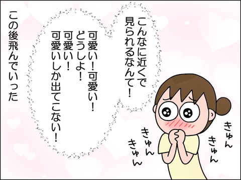 2606xsuzu06