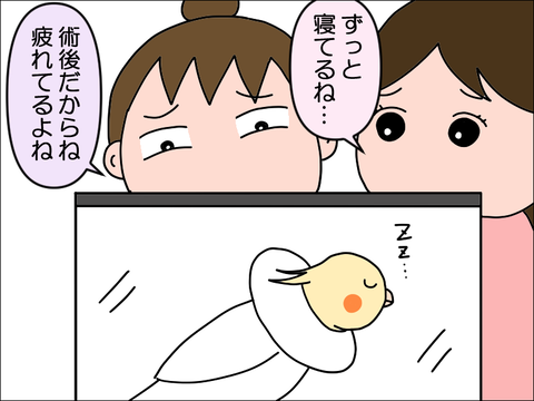 2406okame74