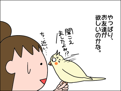 友達が欲しい オカメインコ 絵日記でございます Powered By ライブドアブログ 友達が欲しい オカメインコ 絵日記でございます Powered By ライブドアブログ