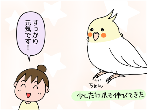 2309wpani58