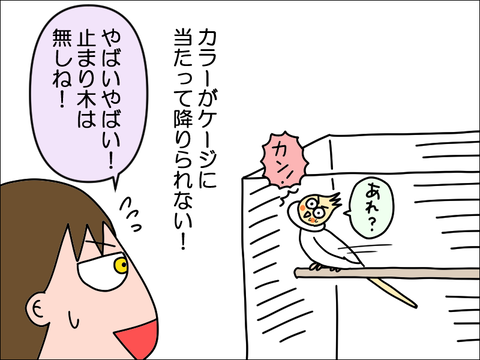 2406okame106
