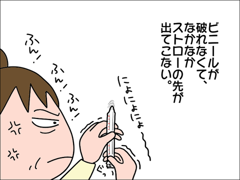 2111sutoro04