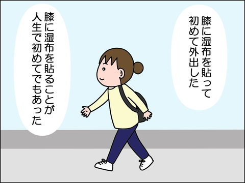 2511nsip03