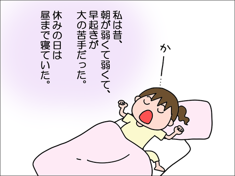 2308vne05