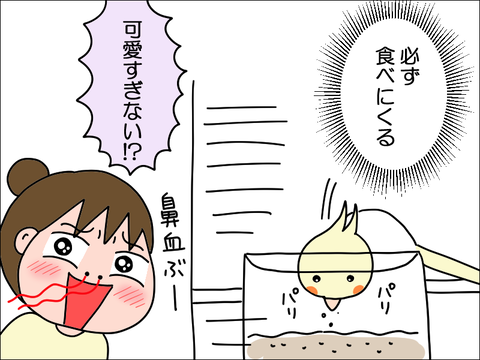 2308rhoppe04