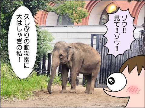 2609wzoo05