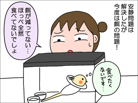 2406okame93