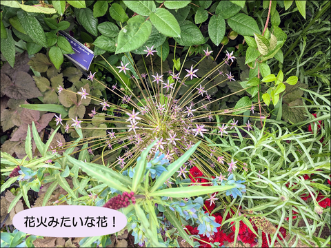 2304kbara12
