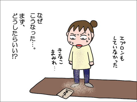 2212lkinako04