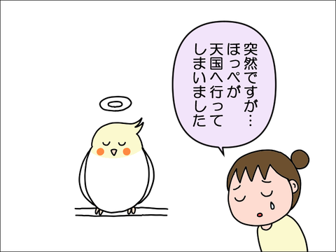 2410jhoppe01