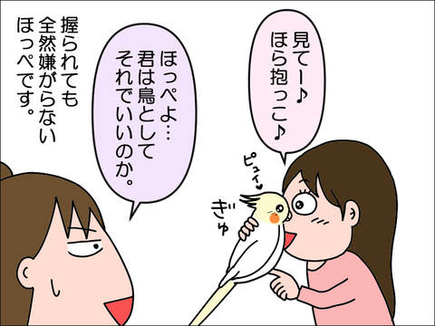 2305gho06