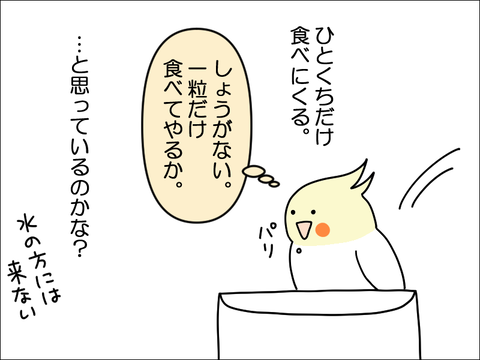 2308rhoppe06