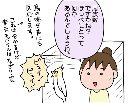 2204hoppe04