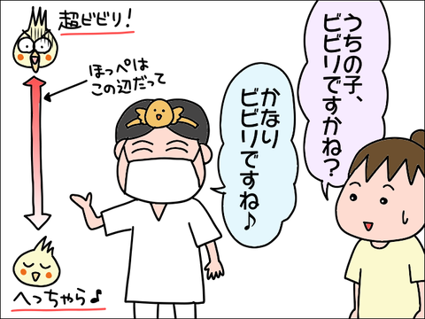 2110hoppe28