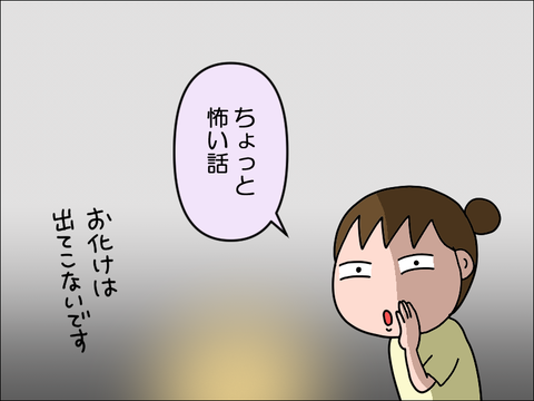 2408vkowa01