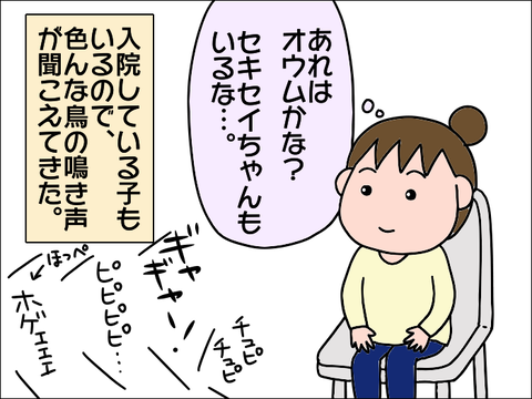 2110hoppe36