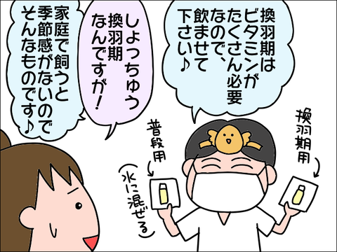 2110hoppe41