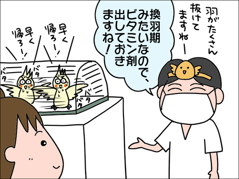 2110hoppe40