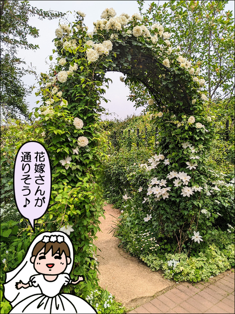 2304kbara09