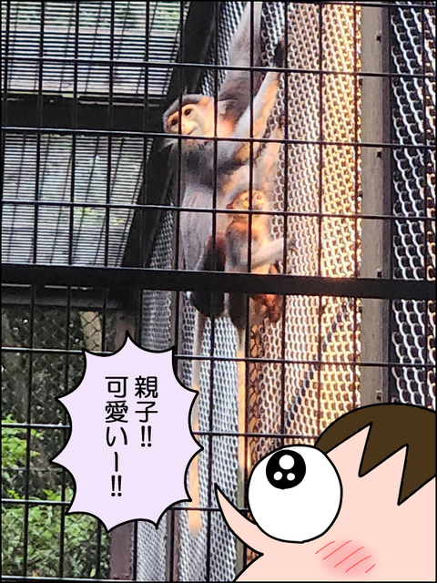 2609wzoo06