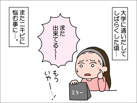 2202nikibi04