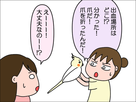2309wpani07