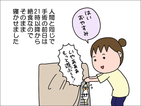 2406okame29