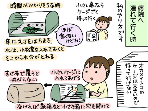 2309wpani16
