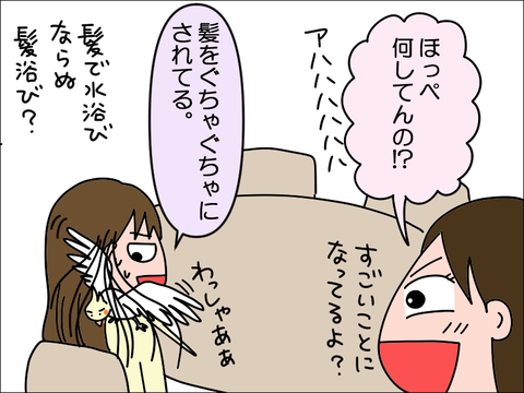 2211lhoppe05