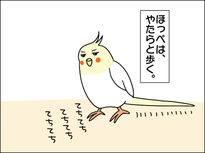 2103hoppe01