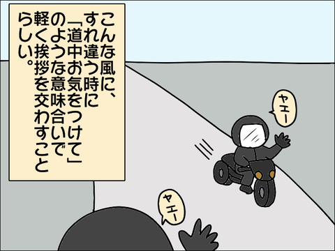 2110bike02