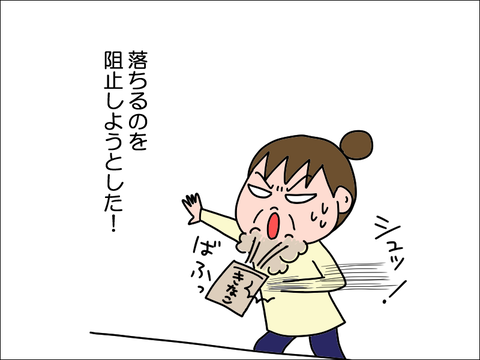 2212lkinako03