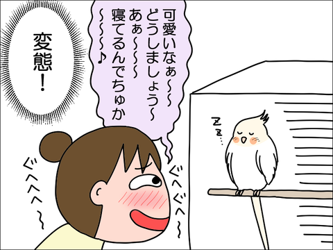 2302qhoppe06