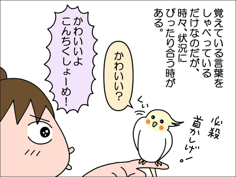 2304ohoppe07