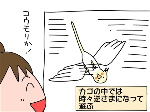 2108hoppe06