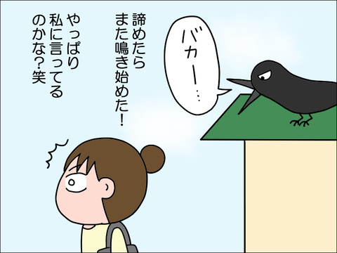 2211ykarasu09