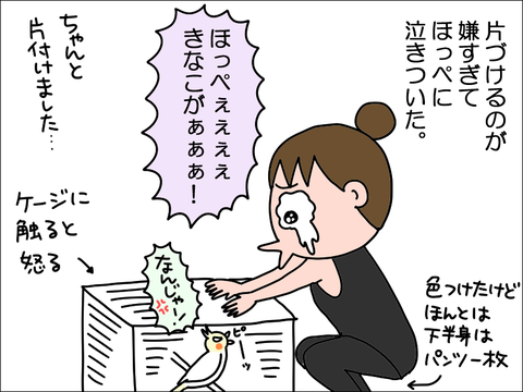 2212lkinako06