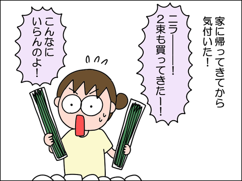 2607vnira04