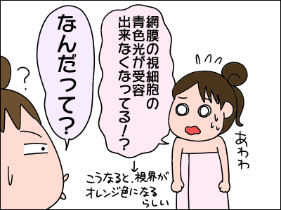 2009denki06