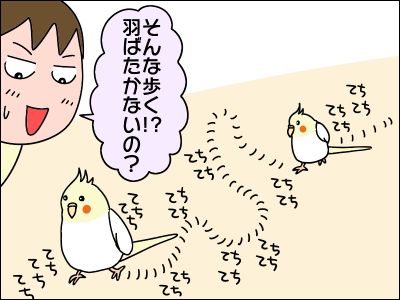2103hoppe02