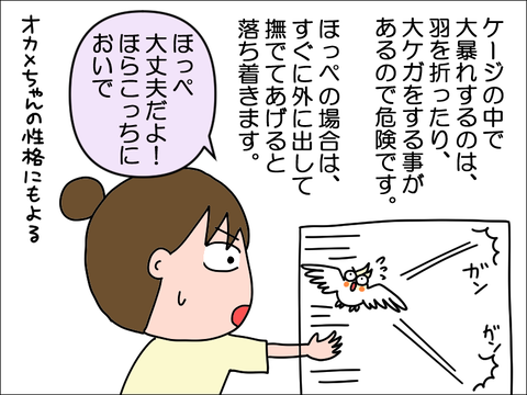 2309wpani03
