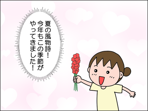 2607rsei01