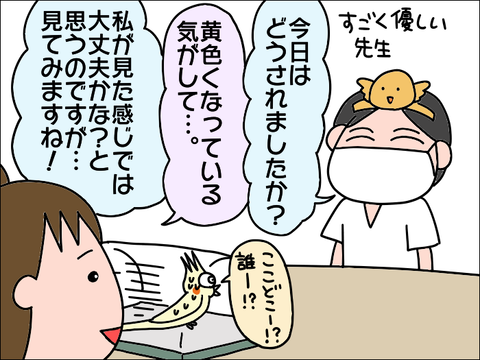 2110hoppe22