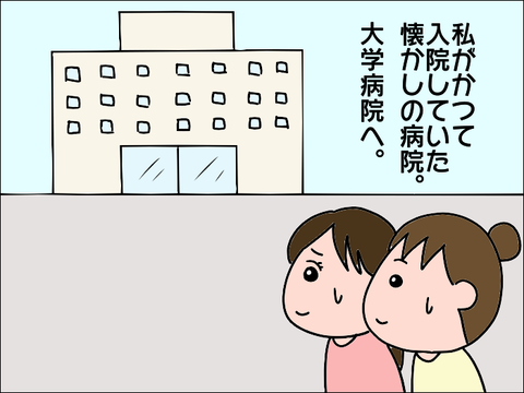 2112nyu31
