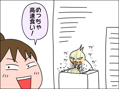 2104tori06