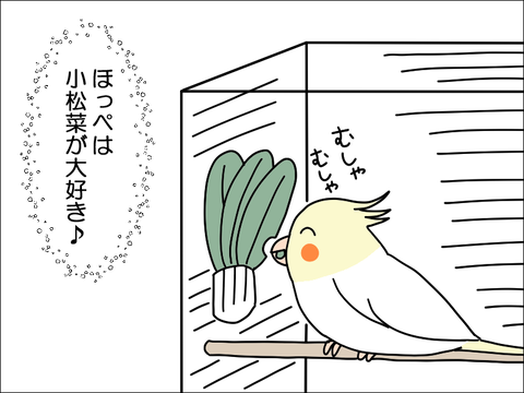 2306qhoppe01