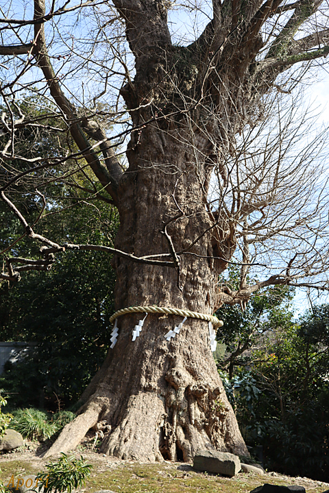 2002kamakura04