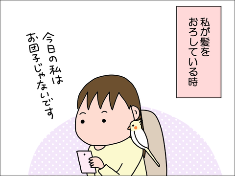 2211lhoppe01