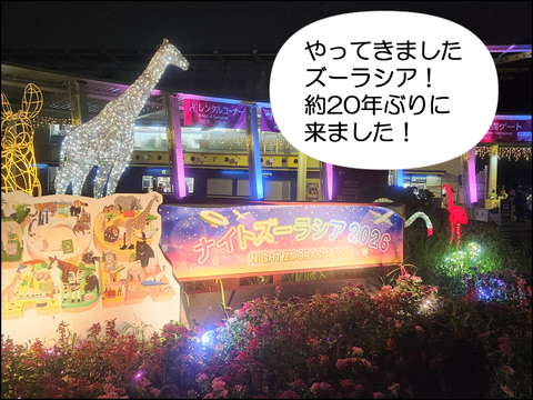 2609wzoo04
