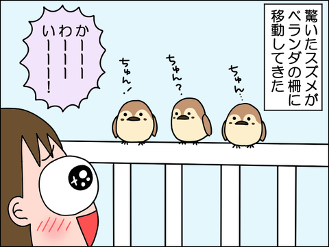 2606xsuzu05